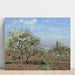 Reproduktion av målningen Verger en fleurs, Louveciennes - Camille Pissarro