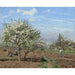 Reproduktion av målningen Verger en fleurs, Louveciennes - Camille Pissarro