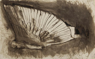 Victor Hugo - Vieil homme lhabit doiseau.webp