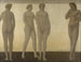 Artémis - Vilhelm Hammershøi — vy av konstverket