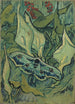Papillon empereur - Vincent van Gogh — vy av konstverket