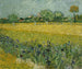 blomsterfält nära Arles - Vincent van Gogh — vy av konstverket