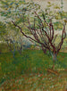 Le Verger en fleurs - Vincent van Gogh — vy av konstverket