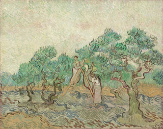 Le verger d'oliviers - Vincent van Gogh — vy av konstverket