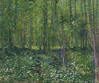Träd och undervegetation - Vincent van Gogh — vy av konstverket