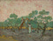 Kvinnor som plockar oliver - Vincent van Gogh — vy av konstverket