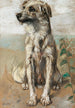 Hund sittande - Vincenzo Gemito — vy av konstverket