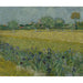 Reproduktion av målningen Vue d'Arles avec des iris - Vincent van Gogh