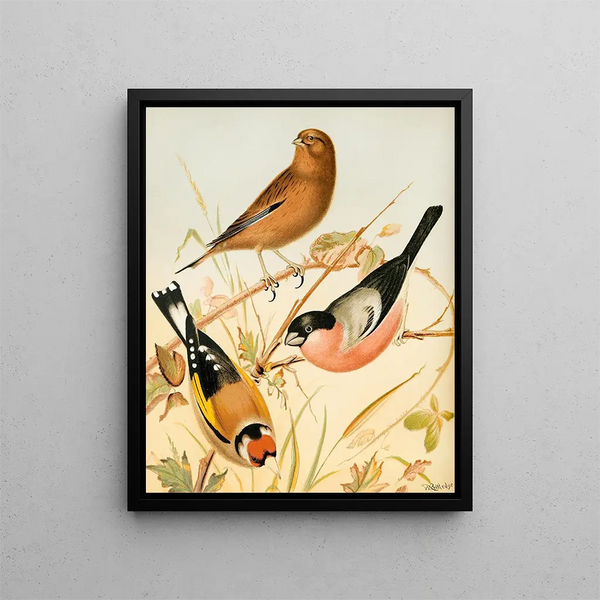 W A Blakston - Goldfinch Linnet Bullfinch.webp