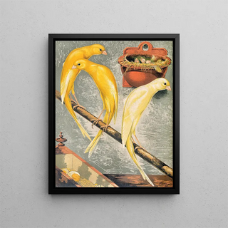 W A Blakston - Scotch Fancy Canaries.webp