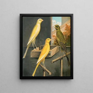 W A Blakston - Yorkshire Canaries.webp