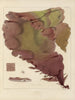 Botaniskt konsttryck av resan till Antarktis med fartygen HM Discovery Erebus och Terror under åren 1839 Pl17 - Walter Hood Fitch — vy av konstverket