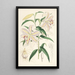 Lilium auratum - Walter Hood Fitch — inramlat konstverk på väggen