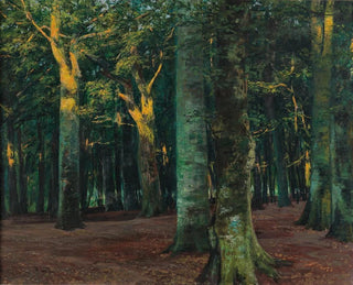 Walter Leistikow - A Forest Interior.webp