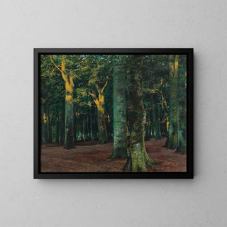 Walter Leistikow - A Forest Interior.webp