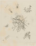 Petits mondes X R 173 - Wassily Kandinsky — vy av konstverket