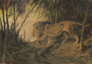 Wilhelm Kuhnert - Lwe zum Flusse ziehend.webp