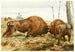 Le Bison d'Europe - Wilhelm Kuhnert — vy av konstverket