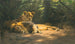 La Tanière des lions - Wilhelm Kuhnert — vy av konstverket