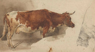 Willem Carel Nakken - Staande koe naar rechts en schets van een rund.webp