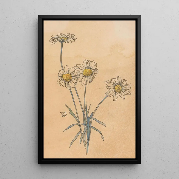 Willem Wenckebach - Witte margrieten.webp