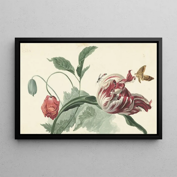 Willem van Leen - Tulip and a Poppy.webp