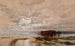 L'inondation i Darling, 1890 - William Charles Piguenit — vy av konstverket