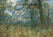 träd och undervegetation - William Fraser Garden — vy av konstverket