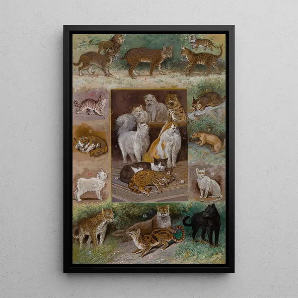 William Henry Drake - Felines.webp