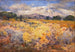 Longs Peak, Colorado - William Henry Holmes — vy av konstverket