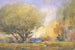 sommarscen - William Henry Holmes — vy av konstverket