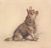 En sittande terrier som tittar åt höger - William Henry Hunt — vy av konstverket