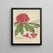 Rhododendron arboreum - William Jackson Hooker — inramlat konstverk på väggen