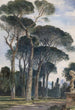 Pins parasols i Villa Borghèse Rom - William James Müller — vy av konstverket
