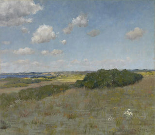 William Merritt Chase - Sunlight and Shadow Shinnecock Hills.webp