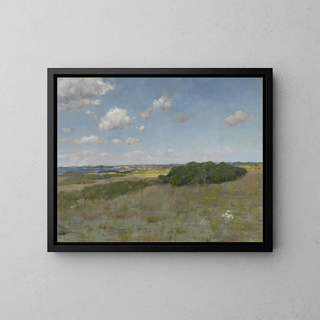 William Merritt Chase - Sunlight and Shadow Shinnecock Hills.webp