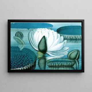 William Sharp - Waterlilies.webp