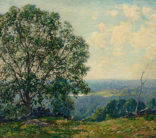 Wilson Henry Irvine - Trees on a Hillside Overlooking a Valley.webp