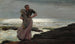 En ljus på havet - Winslow Homer — vy av konstverket