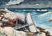 Efter orkanen Bahamas - Winslow Homer — vy av konstverket