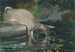 Hjort som dricker - Winslow Homer — vy av konstverket