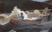 Descente des rapides, rivière Saguenay - Winslow Homer — vy av konstverket