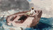 Le Gulf Stream - Winslow Homer — vy av konstverket