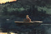 L'essor - Winslow Homer — vy av konstverket