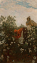 bomull från höglandet - Winslow Homer — vy av konstverket