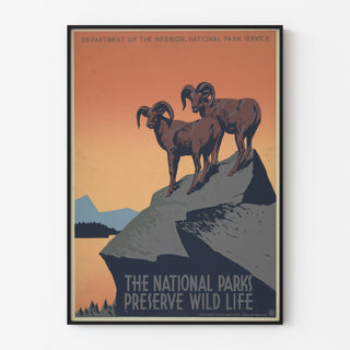 Vintageaffisch National Parks Preserve Wild Life, visad i tunn ram på en ljus vägg.