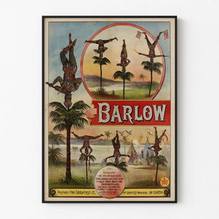 barlow-positively-the-greatest-of-all-the-greatest-wonders-on-earth