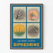 Vintageposter BIPHEDRINE säsongsalmanacka