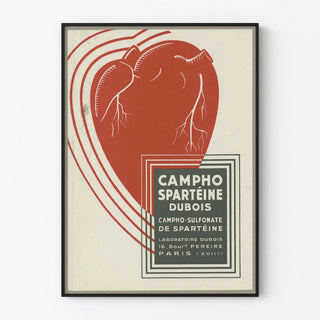 campho-sparteine