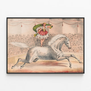 circus-performer-standing-on-the-back-of-a-horse